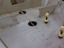 Eider_20111215