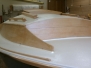 Eider_20120219