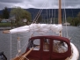 Eider_20120429