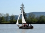 Eider_20120514