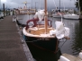 Eider_20120722