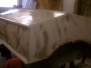 Garvey_20120705