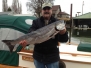 springer_20130306