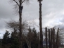uscg_20140221